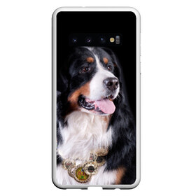 Чехол для Samsung Galaxy S10 с принтом Бернский зенненхунд в Екатеринбурге, Силикон | Область печати: задняя сторона чехла, без боковых панелей | бернский зенненхунд | животное | порода | собака