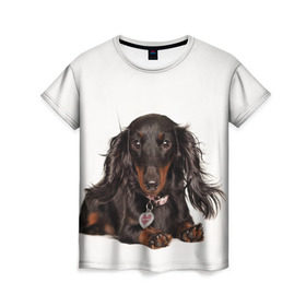 Женская футболка 3D с принтом Карликовая такса в Екатеринбурге, 100% полиэфир ( синтетическое хлопкоподобное полотно) | прямой крой, круглый вырез горловины, длина до линии бедер | животное | карликовая такса | порода | собака