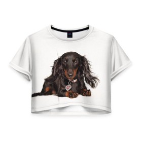 Женская футболка 3D укороченная с принтом Карликовая такса в Екатеринбурге, 100% полиэстер | круглая горловина, длина футболки до линии талии, рукава с отворотами | животное | карликовая такса | порода | собака