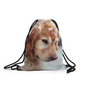 Рюкзак-мешок 3D с принтом Золотистый ретривер в Екатеринбурге, 100% полиэстер | плотность ткани — 200 г/м2, размер — 35 х 45 см; лямки — толстые шнурки, застежка на шнуровке, без карманов и подкладки | животное | золотистый ретривер | порода | собака