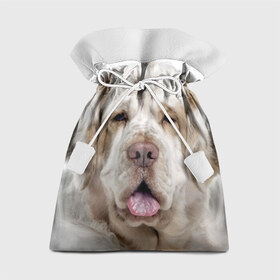Подарочный 3D мешок с принтом Кламбер-спаниель в Екатеринбурге, 100% полиэстер | Размер: 29*39 см | Тематика изображения на принте: животное | кламбер спаниель | порода | собака