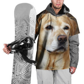 Накидка на куртку 3D с принтом Лабрадор в Екатеринбурге, 100% полиэстер |  | животное | лабрадор | порода | собака