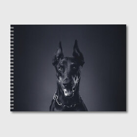 Альбом для рисования с принтом Доберман в Екатеринбурге, 100% бумага
 | матовая бумага, плотность 200 мг. | доберман | животное | порода | собака