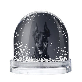 Снежный шар с принтом Доберман в Екатеринбурге, Пластик | Изображение внутри шара печатается на глянцевой фотобумаге с двух сторон | доберман | животное | порода | собака