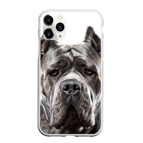 Чехол для iPhone 11 Pro Max матовый с принтом Канне корсо в Екатеринбурге, Силикон |  | животное | канне корсо | порода | собака