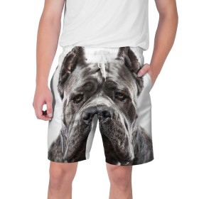Мужские шорты 3D с принтом Канне корсо в Екатеринбурге,  полиэстер 100% | прямой крой, два кармана без застежек по бокам. Мягкая трикотажная резинка на поясе, внутри которой широкие завязки. Длина чуть выше колен | Тематика изображения на принте: животное | канне корсо | порода | собака