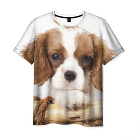 Мужская футболка 3D с принтом Кинг чарльз спаниель в Екатеринбурге, 100% полиэфир | прямой крой, круглый вырез горловины, длина до линии бедер | животное | кинг чарльз спаниель | порода | собака