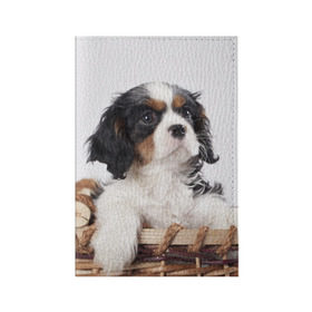 Обложка для паспорта матовая кожа с принтом Кинг чарльз спаниель в Екатеринбурге, натуральная матовая кожа | размер 19,3 х 13,7 см; прозрачные пластиковые крепления | животное | кинг чарльз спаниель | порода | собака