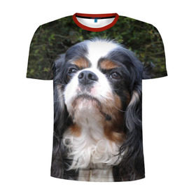Мужская футболка 3D спортивная с принтом Кинг чарльз спаниель в Екатеринбурге, 100% полиэстер с улучшенными характеристиками | приталенный силуэт, круглая горловина, широкие плечи, сужается к линии бедра | Тематика изображения на принте: животное | кинг чарльз спаниель | порода | собака