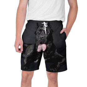 Мужские шорты 3D с принтом Канне корсо в Екатеринбурге,  полиэстер 100% | прямой крой, два кармана без застежек по бокам. Мягкая трикотажная резинка на поясе, внутри которой широкие завязки. Длина чуть выше колен | животное | канне корсо | порода | собака