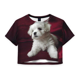 Женская футболка 3D укороченная с принтом Мальтийская болонка в Екатеринбурге, 100% полиэстер | круглая горловина, длина футболки до линии талии, рукава с отворотами | животное | мальтийская болонка | порода | собака