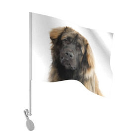 Флаг для автомобиля с принтом Леонбергер в Екатеринбурге, 100% полиэстер | Размер: 30*21 см | животное | леонбергер | порода | собака