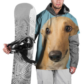Накидка на куртку 3D с принтом Левретка в Екатеринбурге, 100% полиэстер |  | животное | порода | собака