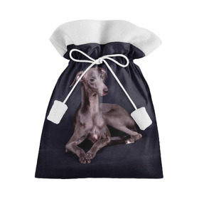 Подарочный 3D мешок с принтом Левретка в Екатеринбурге, 100% полиэстер | Размер: 29*39 см | Тематика изображения на принте: животное | порода | собака