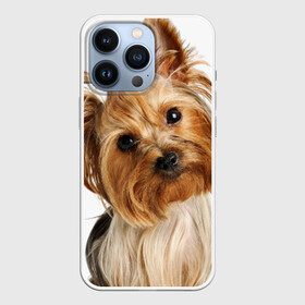 Чехол для iPhone 13 Pro с принтом Йоркширский терьер в Екатеринбурге,  |  | животное | йоркширский терьер | порода | собака