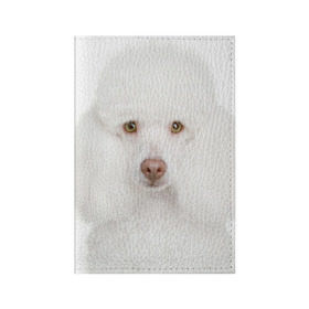 Обложка для паспорта матовая кожа с принтом Белый пудель в Екатеринбурге, натуральная матовая кожа | размер 19,3 х 13,7 см; прозрачные пластиковые крепления | Тематика изображения на принте: белый пудель | животное | порода | собака