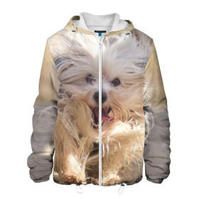 Мужская куртка 3D с принтом Мохнатая собака в Екатеринбурге, ткань верха — 100% полиэстер, подклад — флис | прямой крой, подол и капюшон оформлены резинкой с фиксаторами, два кармана без застежек по бокам, один большой потайной карман на груди. Карман на груди застегивается на липучку | животное | мохнатая собака | порода | собака