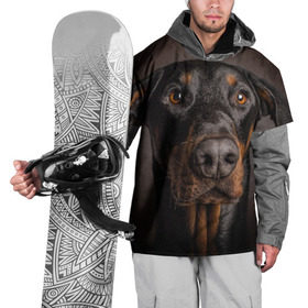 Накидка на куртку 3D с принтом Доберман в Екатеринбурге, 100% полиэстер |  | Тематика изображения на принте: доберман | животное | порода | собака