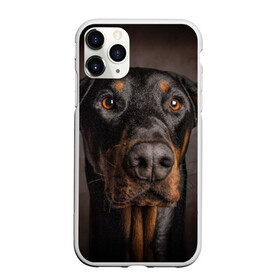 Чехол для iPhone 11 Pro матовый с принтом Доберман в Екатеринбурге, Силикон |  | Тематика изображения на принте: доберман | животное | порода | собака
