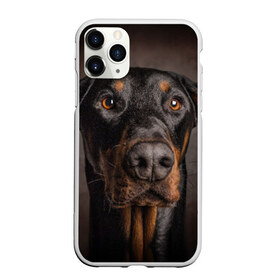 Чехол для iPhone 11 Pro Max матовый с принтом Доберман в Екатеринбурге, Силикон |  | Тематика изображения на принте: доберман | животное | порода | собака