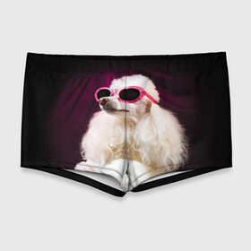 Мужские купальные плавки 3D с принтом Пудель в очках в Екатеринбурге, Полиэстер 85%, Спандекс 15% |  | Тематика изображения на принте: животное | порода | пудель в очках | собака