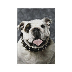 Обложка для паспорта матовая кожа с принтом Английский бульдог в Екатеринбурге, натуральная матовая кожа | размер 19,3 х 13,7 см; прозрачные пластиковые крепления | животное | порода | собака | французский бульдог