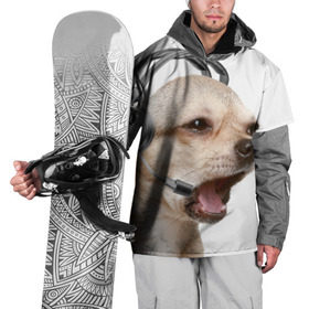 Накидка на куртку 3D с принтом Чихуахуа в Екатеринбурге, 100% полиэстер |  | Тематика изображения на принте: животное | порода | собака | чихуахуа
