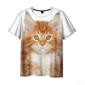Мужская футболка 3D с принтом Рыжий котенок в Екатеринбурге, 100% полиэфир | прямой крой, круглый вырез горловины, длина до линии бедер | животное | порода | рыжий котенок