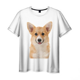 Мужская футболка 3D с принтом Пемброк-вельш-корги в Екатеринбурге, 100% полиэфир | прямой крой, круглый вырез горловины, длина до линии бедер | Тематика изображения на принте: животное | пемброк вельш корги | порода | собака