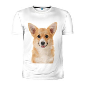Мужская футболка 3D спортивная с принтом Пемброк-вельш-корги в Екатеринбурге, 100% полиэстер с улучшенными характеристиками | приталенный силуэт, круглая горловина, широкие плечи, сужается к линии бедра | Тематика изображения на принте: животное | пемброк вельш корги | порода | собака