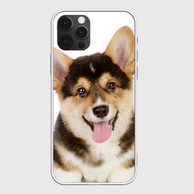 Чехол для iPhone 12 Pro Max с принтом Пемброк-вельш-корги в Екатеринбурге, Силикон |  | Тематика изображения на принте: животное | пемброк вельш корги | порода | собака