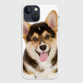 Чехол для iPhone 13 mini с принтом Пемброк вельш корги в Екатеринбурге,  |  | животное | пемброк вельш корги | порода | собака