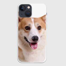 Чехол для iPhone 13 mini с принтом Пемброк вельш корги в Екатеринбурге,  |  | животное | пемброк вельш корги | порода | собака
