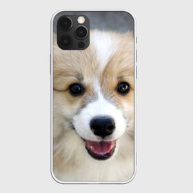 Чехол для iPhone 12 Pro Max с принтом Пемброк-вельш-корги собака п в Екатеринбурге, Силикон |  | Тематика изображения на принте: животное | пемброк вельш корги | порода | собака