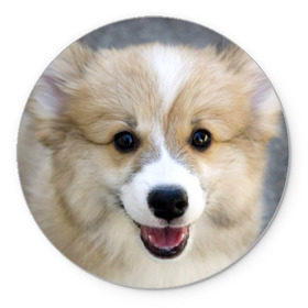 Коврик круглый с принтом Пемброк-вельш-корги, собака, п в Екатеринбурге, резина и полиэстер | круглая форма, изображение наносится на всю лицевую часть | животное | пемброк вельш корги | порода | собака