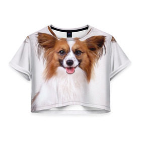 Женская футболка 3D укороченная с принтом Папийон в Екатеринбурге, 100% полиэстер | круглая горловина, длина футболки до линии талии, рукава с отворотами | животное | папийон | порода | собака
