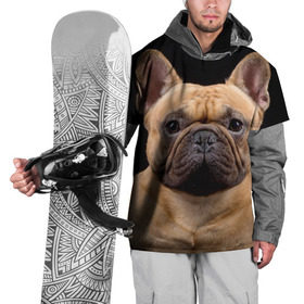 Накидка на куртку 3D с принтом Французский бульдог в Екатеринбурге, 100% полиэстер |  | Тематика изображения на принте: животное | порода | собака | французский бульдог