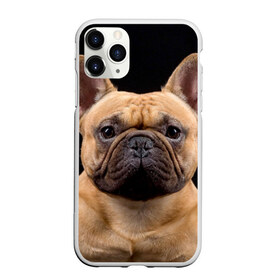 Чехол для iPhone 11 Pro Max матовый с принтом Французский бульдог в Екатеринбурге, Силикон |  | Тематика изображения на принте: животное | порода | собака | французский бульдог