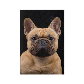 Обложка для паспорта матовая кожа с принтом Французский бульдог в Екатеринбурге, натуральная матовая кожа | размер 19,3 х 13,7 см; прозрачные пластиковые крепления | Тематика изображения на принте: животное | порода | собака | французский бульдог
