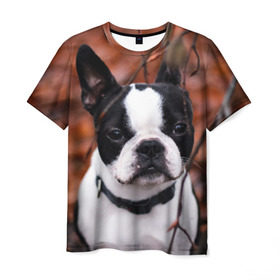 Мужская футболка 3D с принтом Бостон Терьер в Екатеринбурге, 100% полиэфир | прямой крой, круглый вырез горловины, длина до линии бедер | животное | порода | собака | французский бульдог
