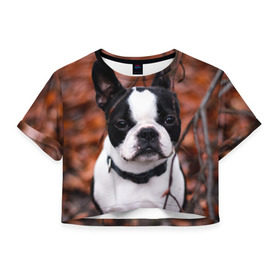 Женская футболка 3D укороченная с принтом Бостон Терьер в Екатеринбурге, 100% полиэстер | круглая горловина, длина футболки до линии талии, рукава с отворотами | Тематика изображения на принте: животное | порода | собака | французский бульдог