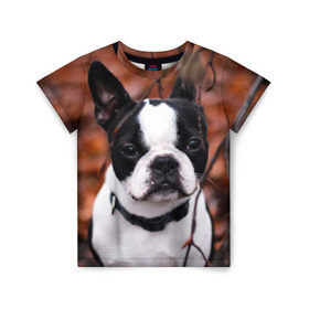 Детская футболка 3D с принтом Бостон Терьер в Екатеринбурге, 100% гипоаллергенный полиэфир | прямой крой, круглый вырез горловины, длина до линии бедер, чуть спущенное плечо, ткань немного тянется | животное | порода | собака | французский бульдог