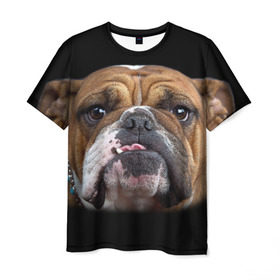 Мужская футболка 3D с принтом Французский бульдог в Екатеринбурге, 100% полиэфир | прямой крой, круглый вырез горловины, длина до линии бедер | Тематика изображения на принте: животное | порода | собака | французский бульдог