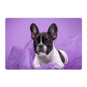 Магнитный плакат 3Х2 с принтом Французский бульдог в Екатеринбурге, Полимерный материал с магнитным слоем | 6 деталей размером 9*9 см | Тематика изображения на принте: животное | порода | собака | французский бульдог