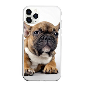 Чехол для iPhone 11 Pro матовый с принтом Французский бульдог в Екатеринбурге, Силикон |  | Тематика изображения на принте: животное | порода | собака | французский бульдог