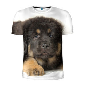 Мужская футболка 3D спортивная с принтом Тибетский мастиф в Екатеринбурге, 100% полиэстер с улучшенными характеристиками | приталенный силуэт, круглая горловина, широкие плечи, сужается к линии бедра | животное | порода | собака