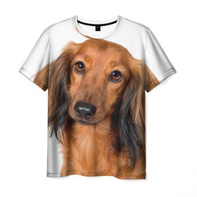 Мужская футболка 3D с принтом Такса в Екатеринбурге, 100% полиэфир | прямой крой, круглый вырез горловины, длина до линии бедер | Тематика изображения на принте: животное | порода | собака | такса