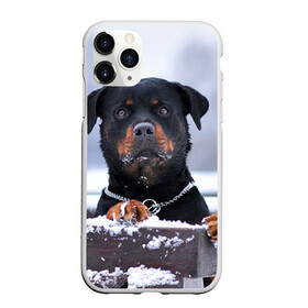 Чехол для iPhone 11 Pro матовый с принтом Ротвейлер в Екатеринбурге, Силикон |  | животное | порода | ротвейлер | собака