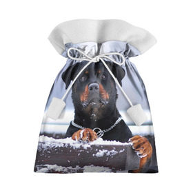 Подарочный 3D мешок с принтом Ротвейлер в Екатеринбурге, 100% полиэстер | Размер: 29*39 см | Тематика изображения на принте: животное | порода | ротвейлер | собака