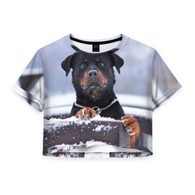 Женская футболка 3D укороченная с принтом Ротвейлер в Екатеринбурге, 100% полиэстер | круглая горловина, длина футболки до линии талии, рукава с отворотами | животное | порода | ротвейлер | собака